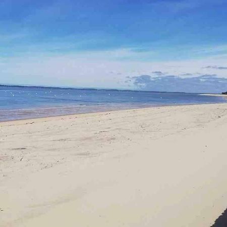 Appart Sur La Plage Pied Dans L Eau Avec Terrasse Jardin Vue Sur Le Bassin Depuis La Terrasse , Parking Arcachon Buitenkant foto