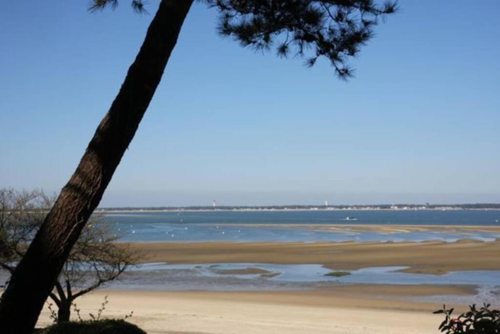Appart Sur La Plage Pied Dans L Eau Avec Terrasse Jardin Vue Sur Le Bassin Depuis La Terrasse , Parking Arcachon Buitenkant foto