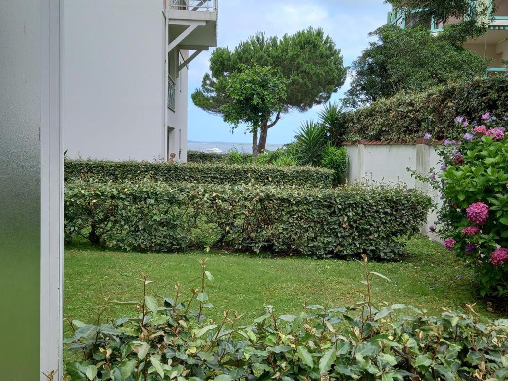 Appart Sur La Plage Pied Dans L Eau Avec Terrasse Jardin Vue Sur Le Bassin Depuis La Terrasse , Parking Arcachon Buitenkant foto